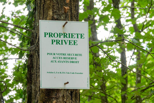 Coins à Champignons et Forêts Privées : Attention à la Législation
