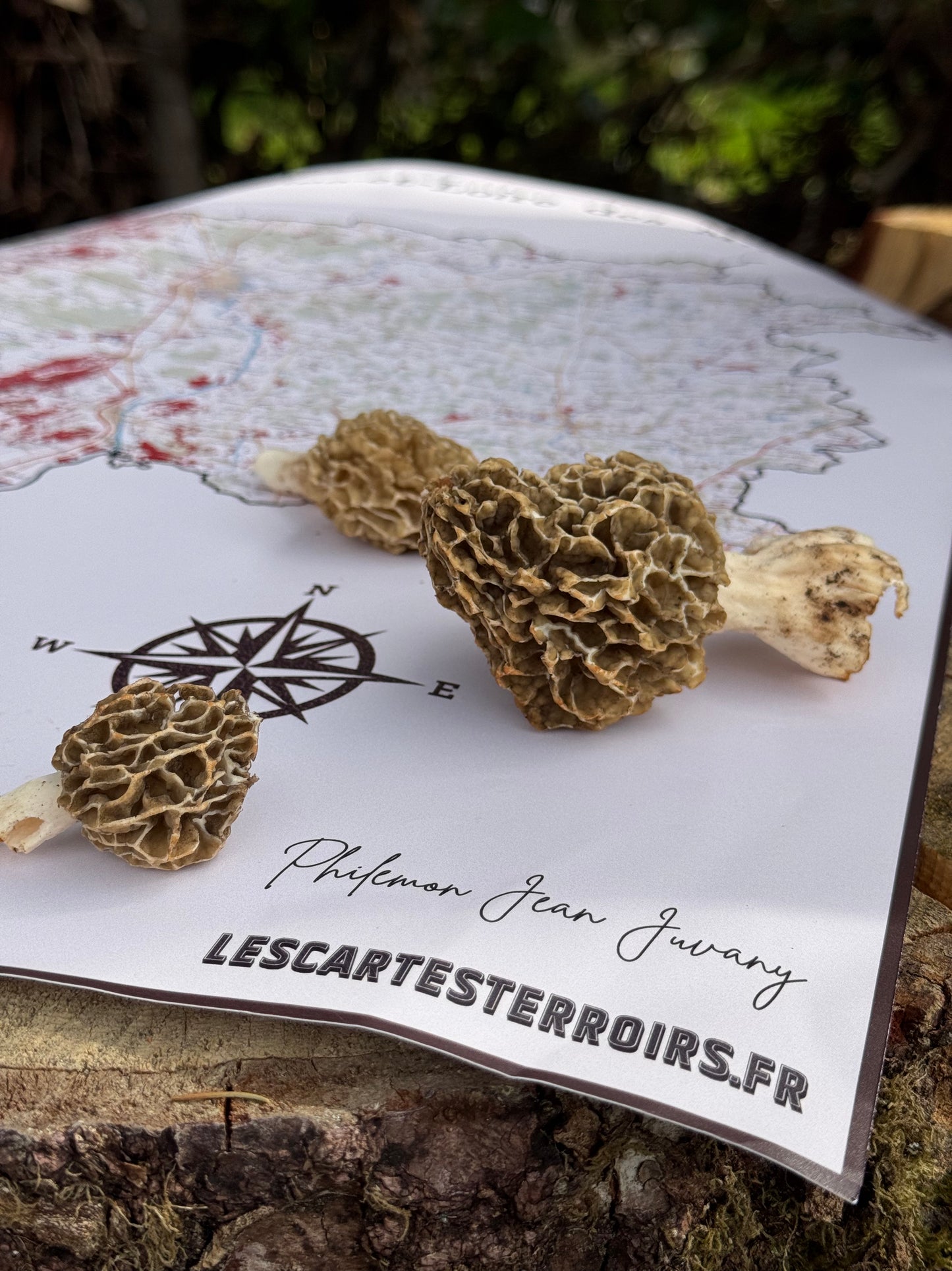 Carte des coins à champignons sur mesure