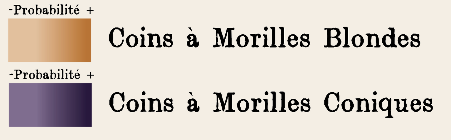 (17) La carte des coins à Morilles pour la Charente Maritime