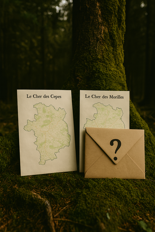 🎁 Pourquoi offrir une carte des coins à champignons est le cadeau parfait ?