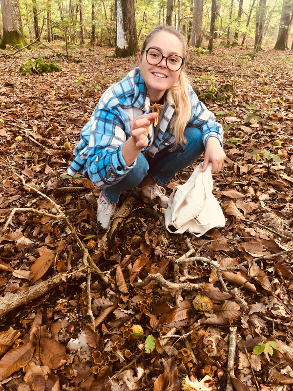 Omelette aux chanterelles : la recette traditionnelle inratable du cueilleur