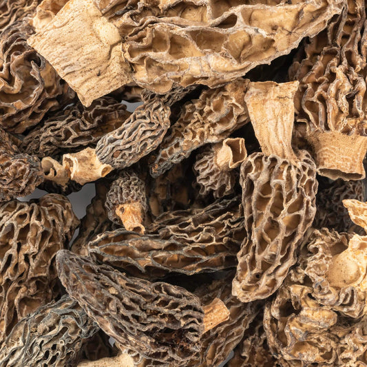🍄 Guide pour faire sécher les morilles