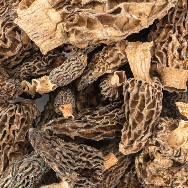 Champignons en conserve : 6 méthodes pour préserver chaque espèce