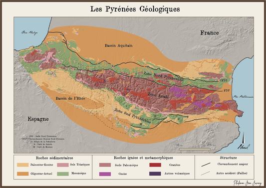🍄 Les meilleurs coins à champignons selon la géologie