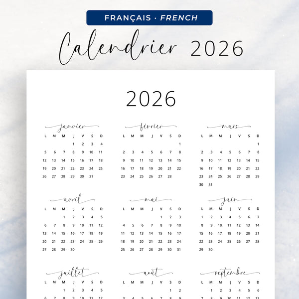 Calendrier des champignons 2026 : quel champignon ramasser à quel mois