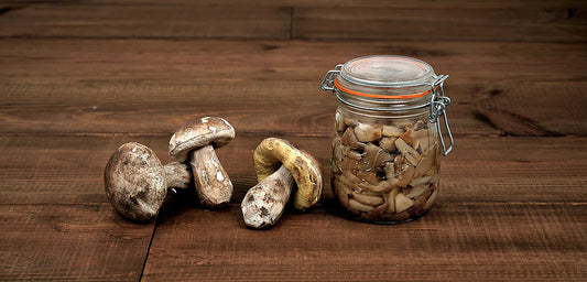 🍄 Comment conserver les cèpes : le guide complet pour en profiter toute l’année