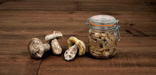 🍄 Comment conserver les cèpes : le guide complet pour en profiter toute l’année