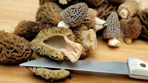 Quels plats cuisiner avec des Morilles ?