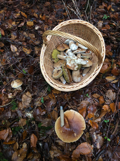 Le Panier à Champignons