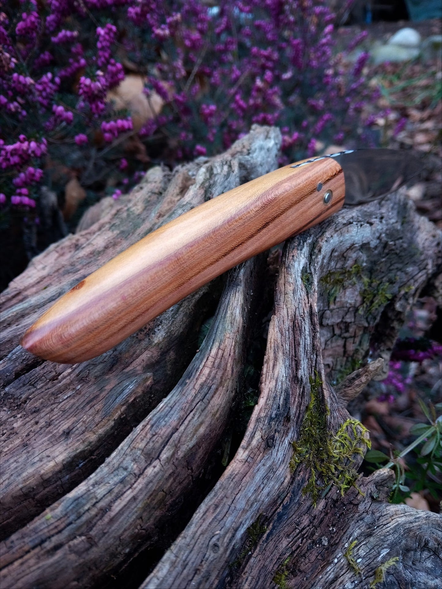 Couteau à champignons artisanal – Manche en Prunus Pyrénéen  (pièce unique)