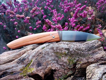 Couteau à champignons artisanal – Manche en Prunus Pyrénéen  (pièce unique)