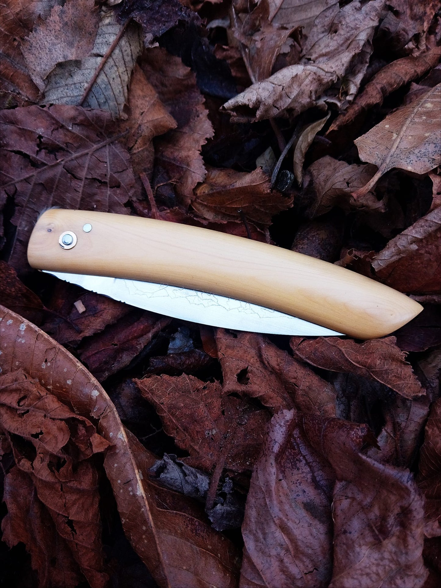 Couteau à champignons artisanal – Noyer pyrénéen & symboles du Sud (pièce unique)