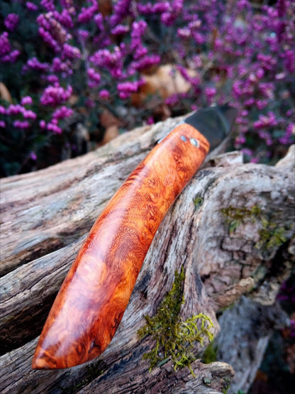 Couteau à champignons artisanal –  Loupe d'amboine (pièce unique)