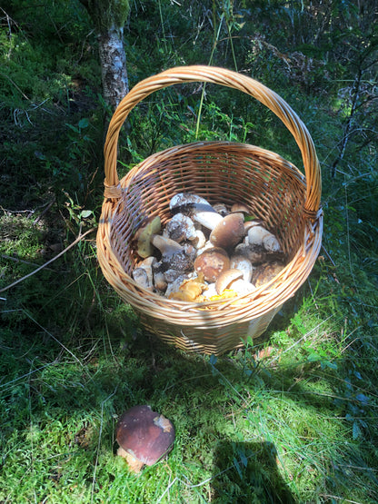 Le Panier à Champignons