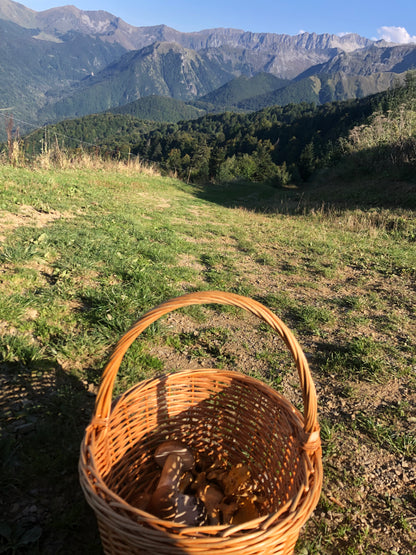 Le Panier à Champignons