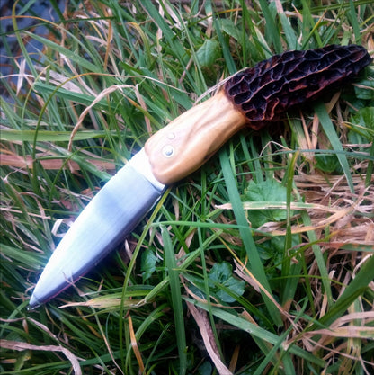 Le Morillou - Le couteau emblématique pour les Morilles