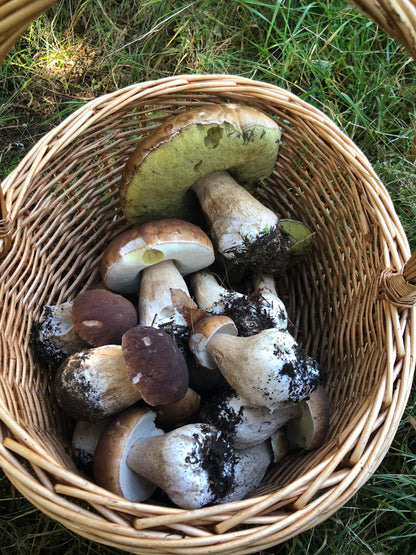 Le Panier à Champignons