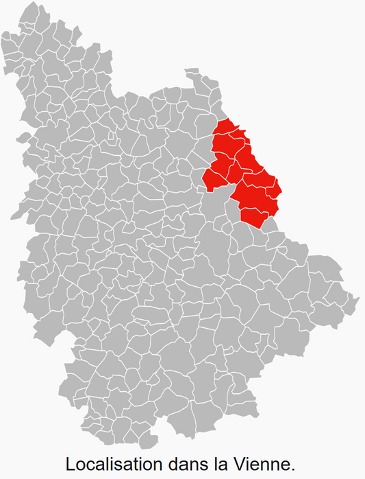 Commande personnalisée Rémi Michel