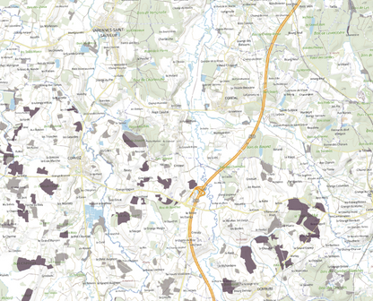 EDITION SPÉCIALES MORILLES CONIQUES PRINTEMPS 2026