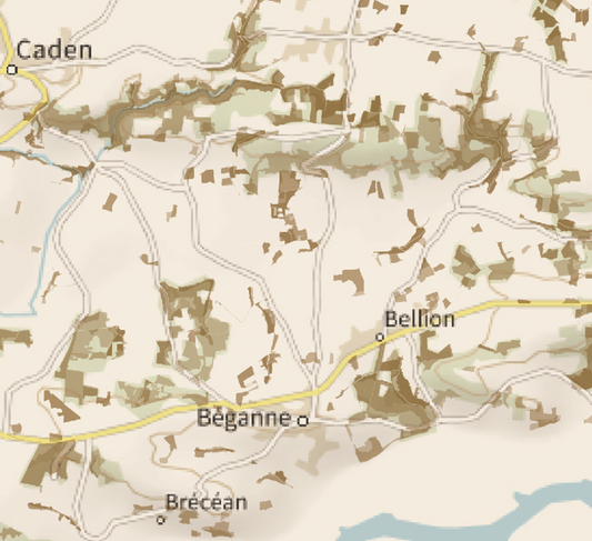 56-Morbihan Carte des coins à Cèpes