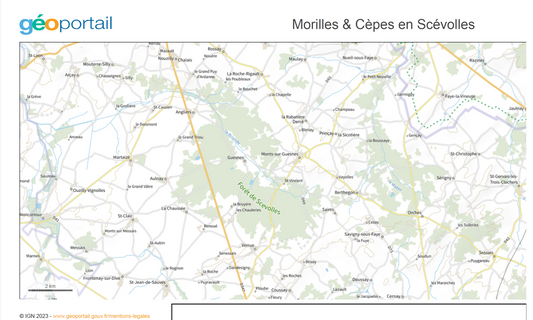 Commande personnalisée Xavier Thibault